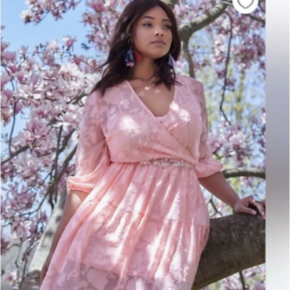 ELOQUII Burnout Chiffon Maxi Dress